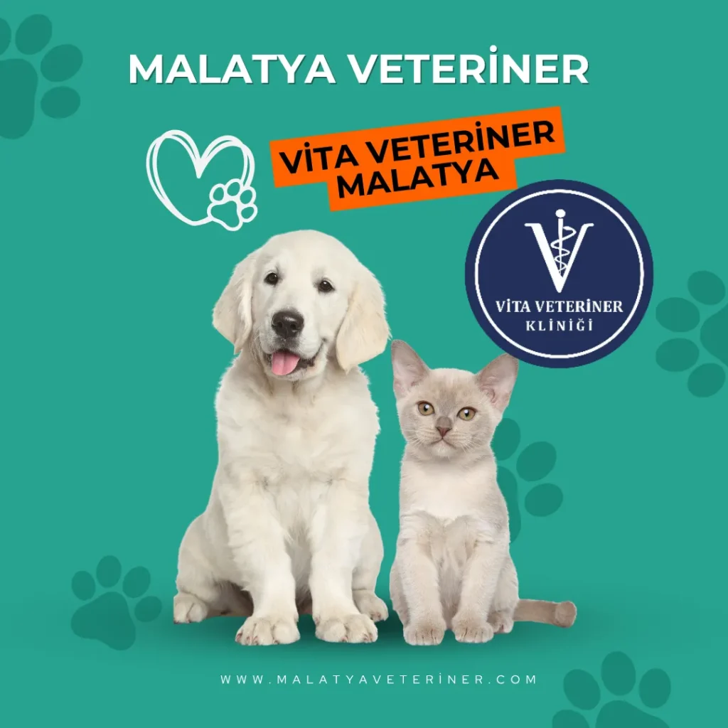 Malatya Vita Veteriner